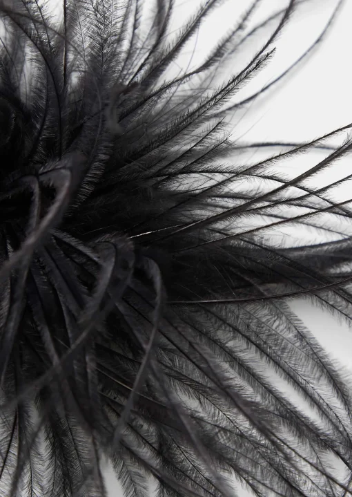 Broche Arthur noire en plumes